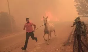 Un ganadero corre para evacuar a uno de sus caballos en medio de un incendio forestal en el área de Fyli, cerca de Atenas, Grecia.