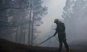 Bomberos de Güímar en el bosque de Las Raíces, este martes en el municipio de El Rosario, quemado por el incendio forestal que afecta a la isla de Tenerife.