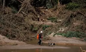 Un hombre trabaja en las labores de limpieza en el río Alberche, a 5 de septiembre de 2023