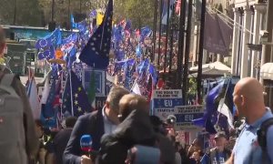Manifestantes anti-Brexit piden en Londres la reincorporación del Reino Unido a la UE