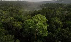 Una vista aérea muestra árboles mientras sale el sol en la selva amazónica en Manaos, estado de Amazonas, Brasil.