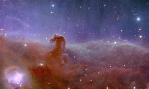 Vista de la misión de Euclides de la 'Nebulosa Cabeza de Caballo'. Agencia Espacial Europea