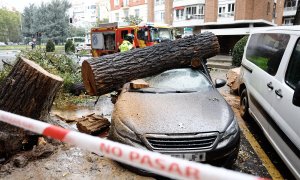 Un tronco de un árbol caído sobre un coche en Madrid, a 2 de noviembre de 2023. Rodrigo Jiménez / Efe