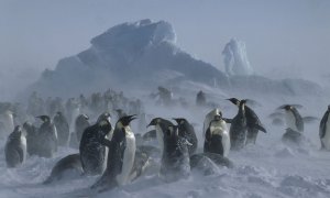 Alerta en la Antártida: el Polo Sur en la era de la ebullición