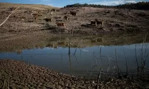 29/11/2023 - Imagen del pantano de Sau, a 20 de noviembre de 2023, en Vilanova de Sau, Barcelona, Catalunya (España). Los bajos niveles de los embalses, al 18,85% de su capacidad y la poca posibilidad de que llueva en las próximas semanas, han llevado a q