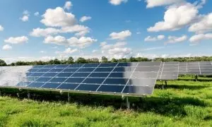 No plantes árboles, instala paneles solares: un estudio cambia radicalmente el enfoque en la lucha contra el cambio climático