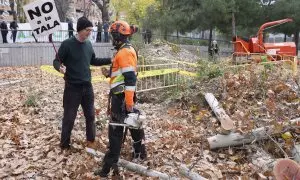 "Es una salvajada ilegal": vecinos de Madrid se plantan contra la tala masiva de árboles de Ayuso y Almeida