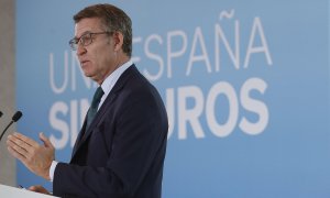 El presidente del Partido Popular, Alberto Núñez Feijóo hace el balance del año 2023 del PP, este jueves en Madrid