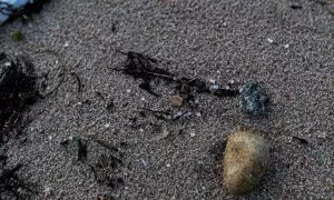 Pequeños microplásticos aparecen en la Illa de Arousa, a 4 de enero de 2024, en Pontevedra