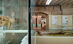 Museu Arqueològic Comarcal de Banyoles