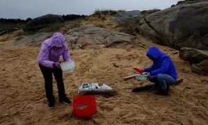 Un grupo de voluntarios trabaja en la limpieza de la playa de Vilar, en A Coruña, contaminada por miles de pellets de plástico.