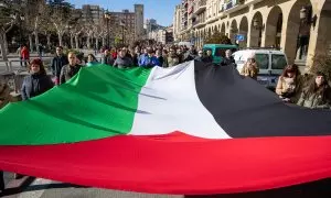 Imagen de archivo de una bandera de palestina en una manifestación de Logroño contra la ocupación de Israel.