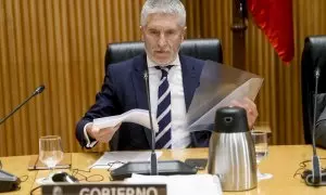 El ministro del Interior, Fernando Grande-Marlaska, este martes durante su comparecencia en el Congreso de los Diputados.