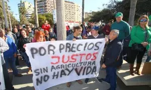 Agricultores de la Unión de Agricultores Independientes con pancartas manifestándose en Almería a 26 de febrero de 2023.