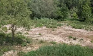 Part del riu Muga sec, al terme de Castelló d'Empúries