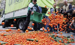 Agricultores tiran tomates durante la tractorada en el centro de Granada. A 22 de marzo de 2024, en Granada (Andalucía, España).