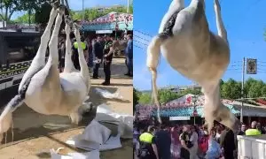 Recogen el cuerpo de la yegua fallecida durante la inauguración de la Feria de Abril en Sevilla, a 14 de abril de 2024.