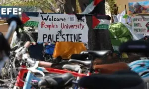 Estudiantes propalestinos protestan en la universidad de Stanford