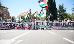 Decenas de personas con pancartas y banderas apoyan a Palestina durante la manifestación en ocasión del aniversario de la la Nakba de 1948, el 11 de mayo de 2024, en Madrid.