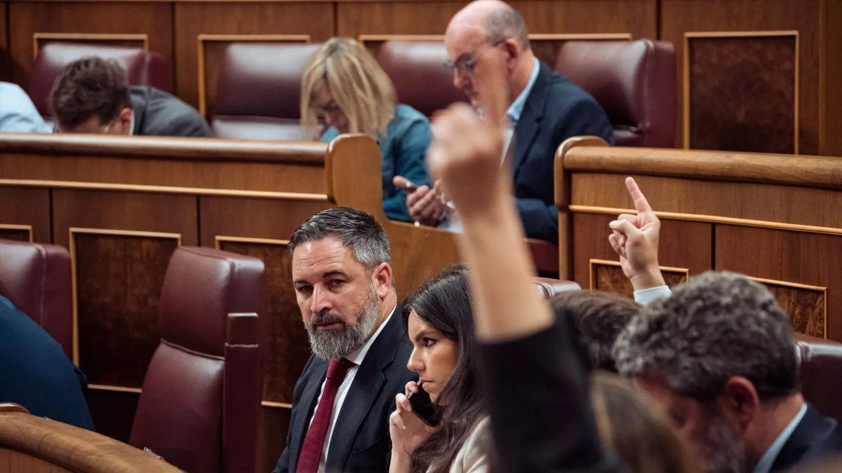 Vox se vuelve a quedar solo: unanimidad en el Congreso para rechazar su ...