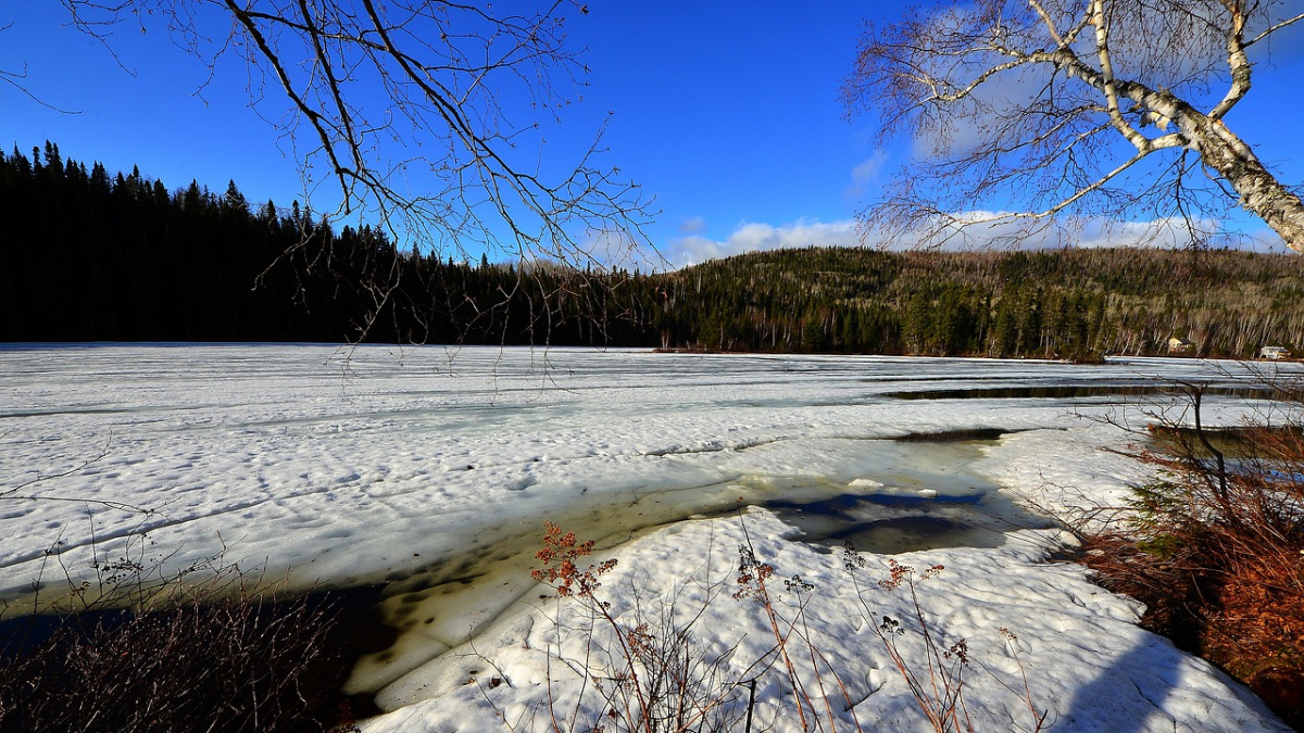 La crisis climática anticipa la subida térmica del Ártico: el primer día sin hielo llegaría antes de 2030