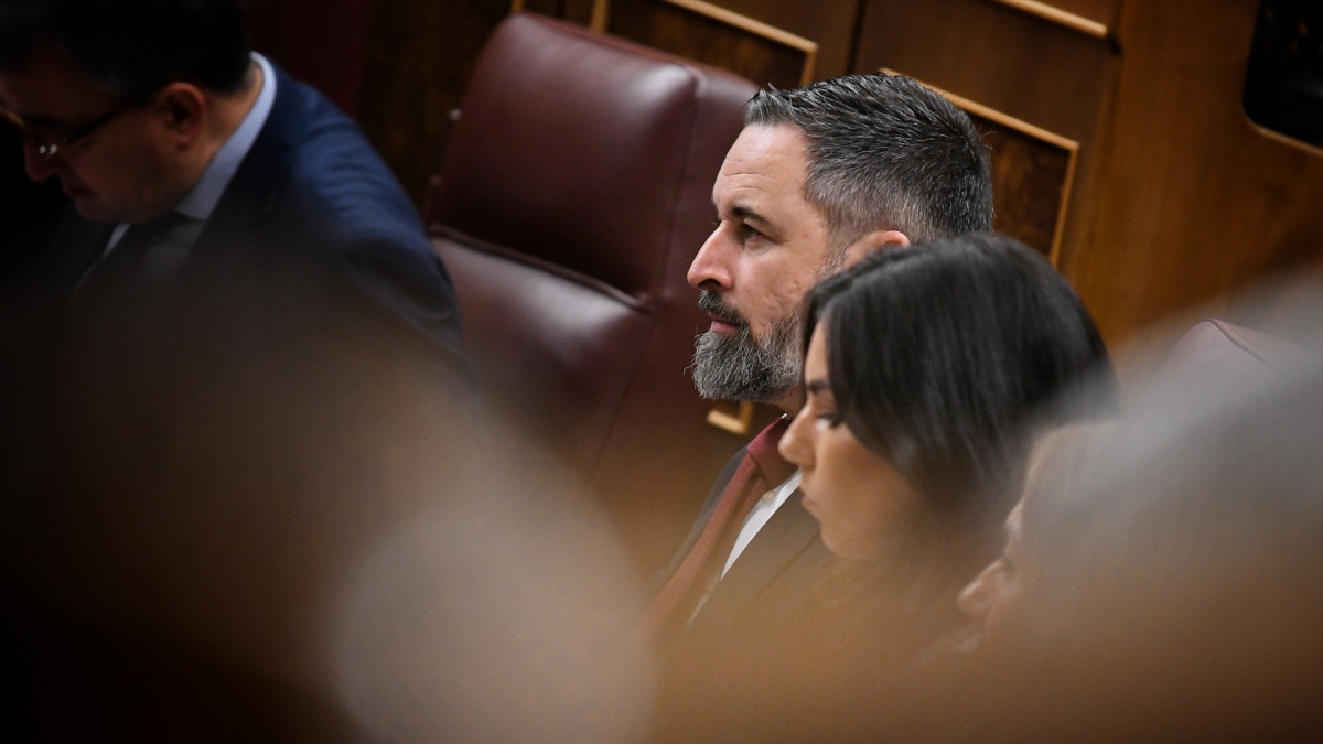 PP y Vox fracasan en su intento de torpedear la reforma de la 'ley ...