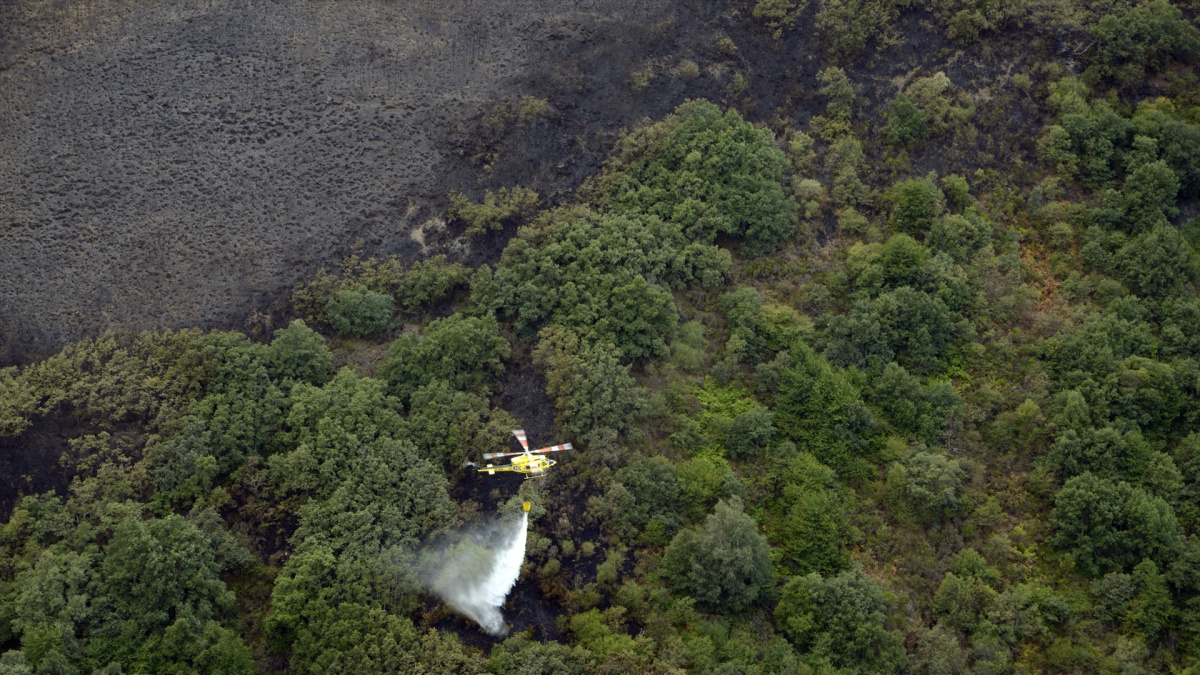 Los incendios calcinan más de 30.000 hectáreas en España en lo que va de año, cuatro veces la superficie quemada en 2025