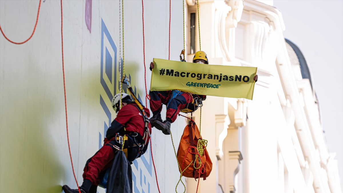 OPINIÓN | “El metano, un gas generado sobre todo por la actividad ganadera, es 80 veces más potente que el CO2 para generar el calentamiento global”, por Rosa Tristán