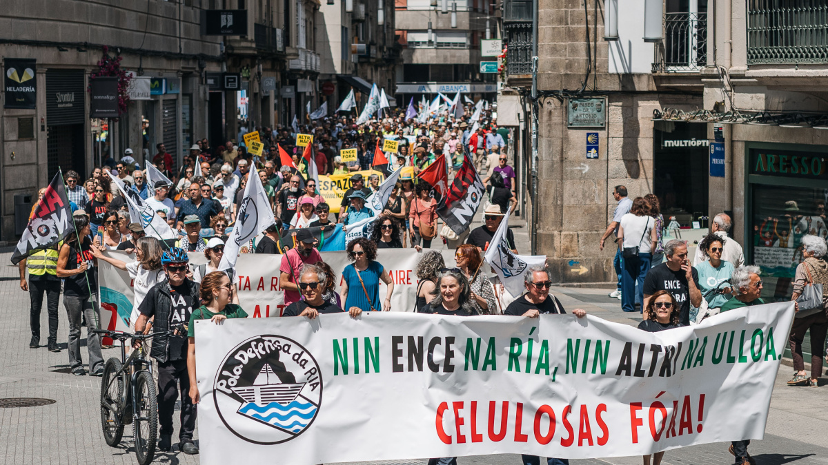 Cientos de personas recorren Pontevedra para pedir el cierre de Ence y el archivo de Altri