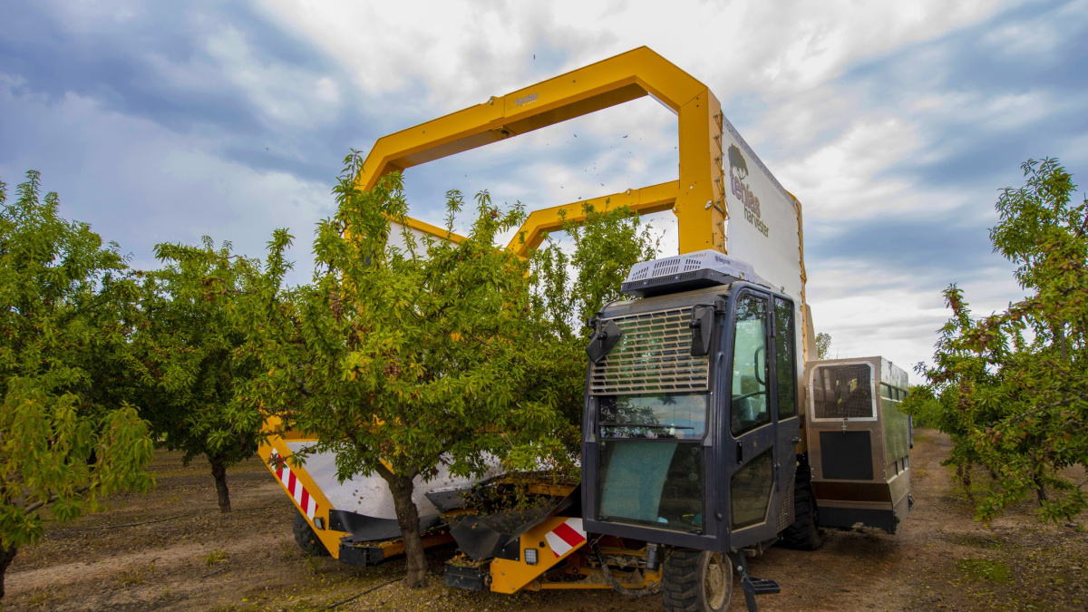 Los fondos de inversión tensionan el campo español comprando las mejores tierras, inflando precios y amenazando el modelo agrícola tradicional