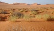 La mitad de la Tierra podría convertirse en un desierto en 2100