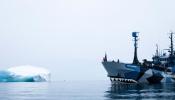 Vinculan a armadores españoles con la pesca ilegal en la Antártida