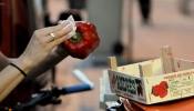 Francia prohibirá a los supermercados tirar comida a la basura
