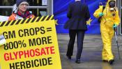 Bruselas obvia a la OMS y no considera cancerígeno el glifosato de Monsanto
