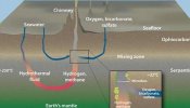 Trazas de vida de hace 125 millones de años bajo el fondo marino