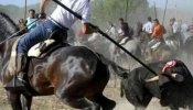 Periodistas de Valladolid denuncian amenazas y agresiones a reporteros durante el 'torneo' del Toro de la Vega