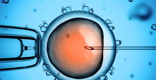 Nace el primer bebé del mundo con una nueva técnica para tratar la infertilidad