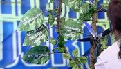 Críticas de censura a El Hormiguero tras el abrupto corte a Pablo Iglesias y el "sospechoso" árbol que desapareció