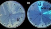 Nanopartículas fluorescentes de la Antártida servirían para marcar células tumorales del cáncer