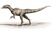 Dracoraptor hanigani, el dinosaurio del Jurásico en Gales