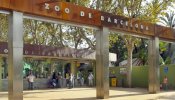 Asociaciones animalistas denuncian al zoo de Barcelona por sacrificar animales sanos recién nacidos