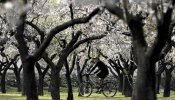 La primavera será más cálida de lo normal, tras el segundo invierno más caluroso en 55 años