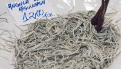 Detenidas 40 personas por la pesca ilegal de angulas en Cantabria