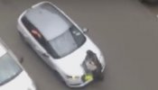 Un vídeo muestra el atropello a una mujer musulmana durante los incidentes ultras en Molenbeek
