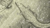 Un yacimiento de Cuenca desvela el eslabón perdido de los cocodrilos