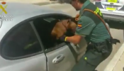 La Guardia Civil rescata a un perro con síntomas de desfallecimiento de un coche al sol sin ventilación