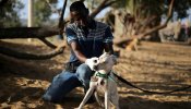 El 'Doctor Dolittle' palestino: el hombre que dedica su vida a rescatar a los perros callejeros de Gaza
