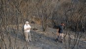 Estabilizado en Galicia el foco más devastador de la última ola de incendios