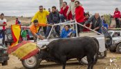 Agresores borrachos y pedradas a los toros: el rally de maltrato en La Alcarria