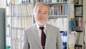 El japonés Yoshinori Ohsumi gana el Nobel de Medicina tras sus hallazgos del mecanismo de la "autofagia"